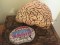 Emergency brain