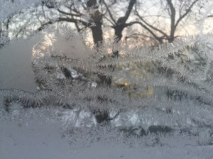 Looking out my mom's living room window this morning, through the frosted glass.